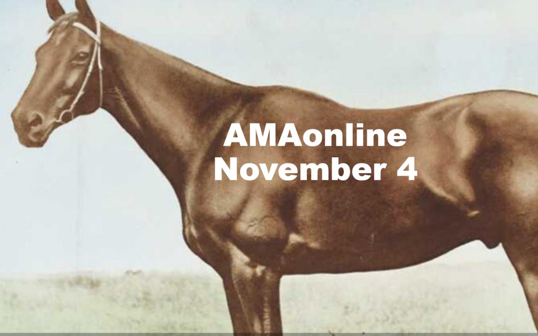 AMAonline Term 4: Nov 4
