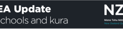 Case studies shared for numeracy Pāngarau